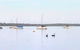 Beautiful, Peaceful Estuary Views, Five Star Quantity - thumb 3