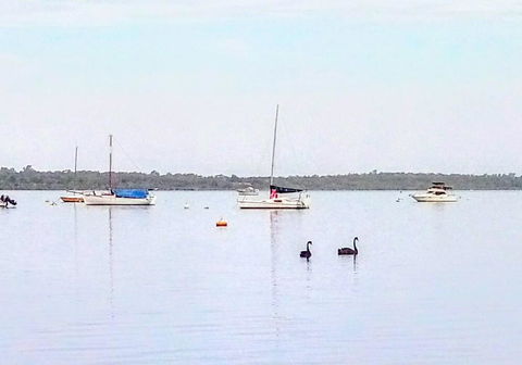 Beautiful, Peaceful Estuary Views, Five Star Quantity - Tweed Heads Accommodation 3