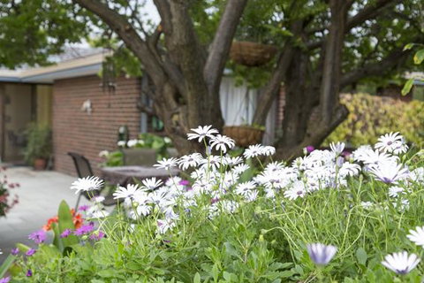 Bed And Breakfast In Perth - Tweed Heads Accommodation 1