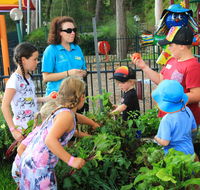 BIG4 Koala Shores Holiday Park - Tweed Heads Accommodation
