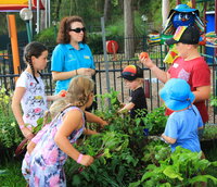 Book Lemon Tree Passage Accommodation Vacations Tweed Heads Accommodation Tweed Heads Accommodation