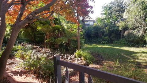 Bird N Branch - Tweed Heads Accommodation 1