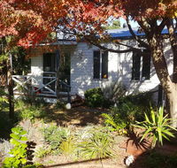 Bird N Branch - Tweed Heads Accommodation