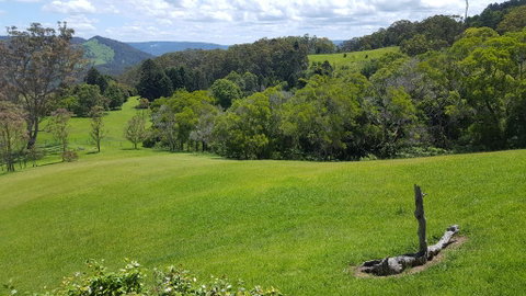 Blue Summit Cottages - Tweed Heads Accommodation 3