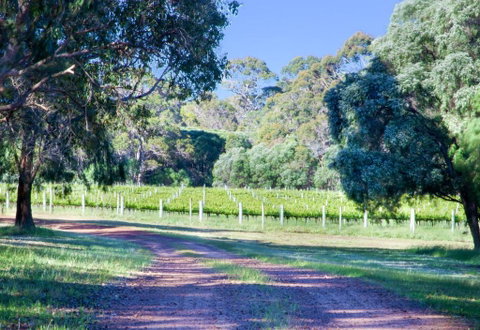 Tintagel Estate I Private Properties - Tweed Heads Accommodation 1