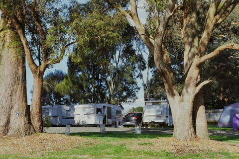 Woodmans Hill Motel - Tweed Heads Accommodation 2