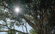 Yarramie - thumb 1