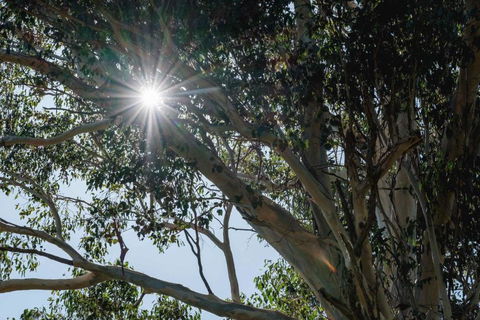 Yarramie - Tweed Heads Accommodation 1