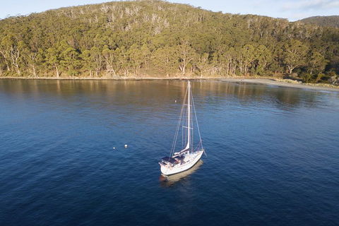 Twilight Sail Bruny Island - Tweed Heads Accommodation 3
