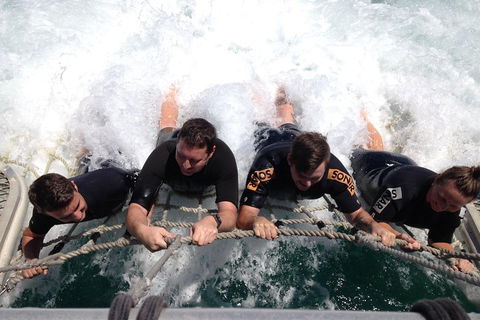 Cruise In Moreton Bay Marine Park And Moreton Island - Tweed Heads Accommodation 0