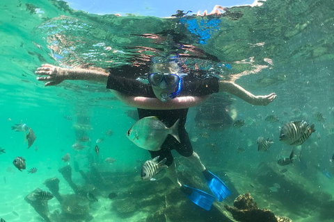 Cruise In Moreton Bay Marine Park And Moreton Island - Tweed Heads Accommodation 5