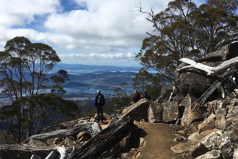 Kunanyi / Mt Wellington Explorer Bus - 2 Hour Return Tour - Tweed Heads Accommodation 0