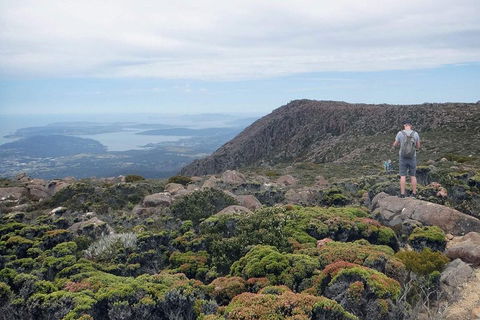 Kunanyi / Mt Wellington Explorer Bus - 2 Hour Return Tour - Tweed Heads Accommodation 3
