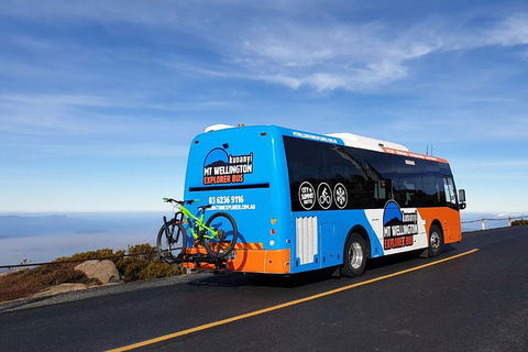 Kunanyi / Mt Wellington Explorer Bus - 2 Hour Return Tour - Tweed Heads Accommodation 4