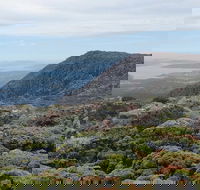 kunanyi/Mt Wellington Explorer Bus - One Way Tour - Tweed Heads Accommodation