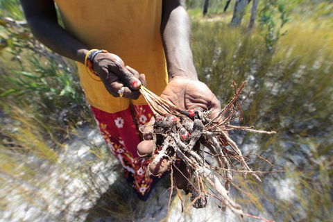 Gay-Wu Woman's 5 Day Yolngu Homeland Tour - Tweed Heads Accommodation 0