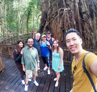 Cairns 4WD Waterfall and Rainforest Tour Including Kuranda Scenic Railway - Tweed Heads Accommodation