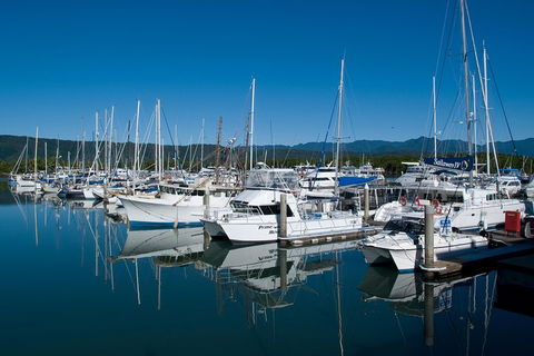 Cairns Reef And Rainforest Combo: Daintree Rainforest And The Great Barrier Reef - Tweed Heads Accommodation 5