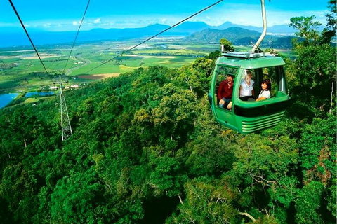 4-Day Cairns Ultimate Combo: Daintree Rainforest, Reef, Kuranda & Paronella Park - Tweed Heads Accommodation 1