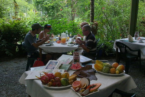 4-Day Cairns Ultimate Combo: Daintree Rainforest, Reef, Kuranda & Paronella Park - Tweed Heads Accommodation 4