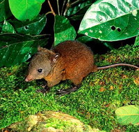 3-Day Small-Group Tour of North Queensland with Pick Up - Tweed Heads Accommodation