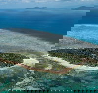 4-Day Cairns with Great Barrier Reef and Daintree Rainforest - Tweed Heads Accommodation