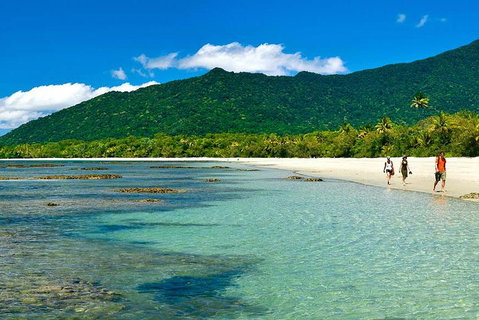 Private Daintree National Park Day Tour From Cairns Including Cape Tribulation And Mossman Gorge - Tweed Heads Accommodation 0