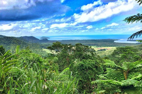 Private Daintree National Park Day Tour From Cairns Including Cape Tribulation And Mossman Gorge - Tweed Heads Accommodation 2