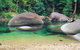 Private Daintree National Park Day Tour From Cairns Including Cape Tribulation And Mossman Gorge - thumb 4
