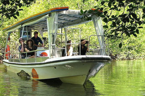 Private Daintree National Park Day Tour From Cairns Including Cape Tribulation And Mossman Gorge - Tweed Heads Accommodation 5