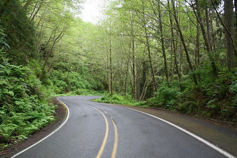 Cruise Ship Shore Excursion - Private Great Ocean Road Full Day Tour (12 Hour) - Tweed Heads Accommodation 3