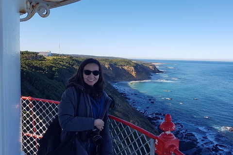 Great Ocean Road Full Day Private Experience - Tweed Heads Accommodation 1