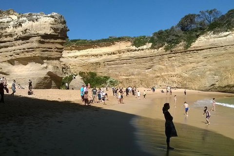 Great Ocean Road Full Day Private Experience - Tweed Heads Accommodation 3