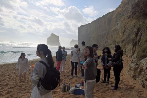 Great Ocean Road Full Day Private Experience - Tweed Heads Accommodation 4