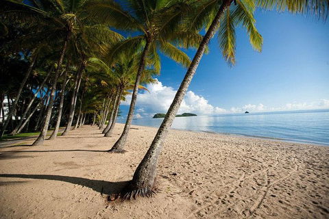 Kuranda Day Trip From Port Douglas Upgrade To Skyrail & Scenic Train Available - Tweed Heads Accommodation 1