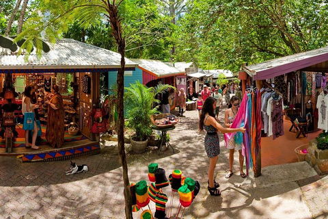 Kuranda Day Trip From Port Douglas Upgrade To Skyrail & Scenic Train Available - Tweed Heads Accommodation 2