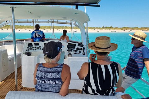 Snubfin Dolphin Eco Cruise From Broome - Tweed Heads Accommodation 5