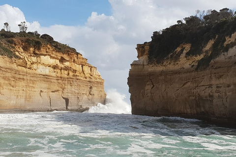 12 Apostles Tour From Warrnambool - Tweed Heads Accommodation 2