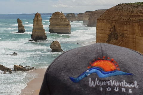 12 Apostles Tour From Warrnambool - Tweed Heads Accommodation 4