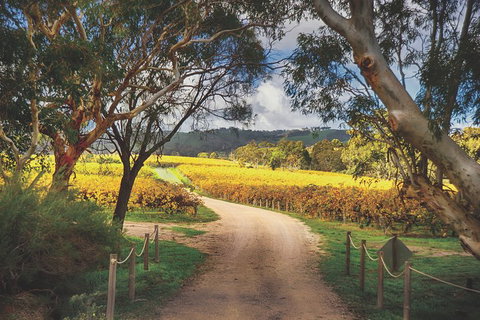 McLaren Vale Winery Small Group Tour With Wine Tasting And Lunch - Tweed Heads Accommodation 1