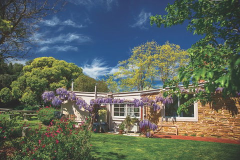 McLaren Vale Winery Small Group Tour With Wine Tasting And Lunch - Tweed Heads Accommodation 2