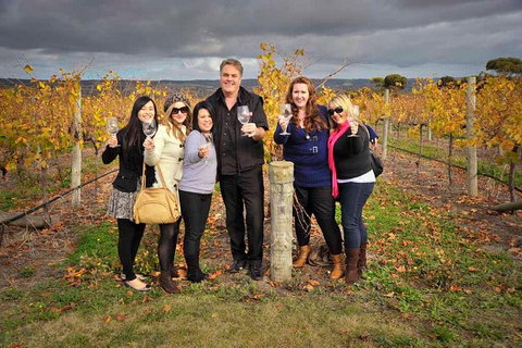 McLaren Vale Winery Small Group Tour With Wine Tasting And Lunch - Tweed Heads Accommodation 3