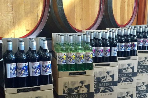 Mclaren Vale Luxury Full Day Small Group Wine Tour - Tweed Heads Accommodation 0