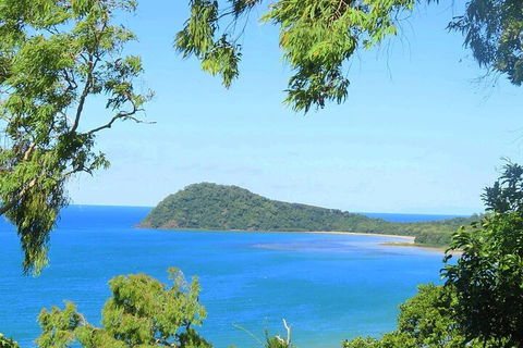 Full Day Tour In The Daintree - Tweed Heads Accommodation 1