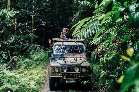 Full Day Tour In The Daintree - Tweed Heads Accommodation 4