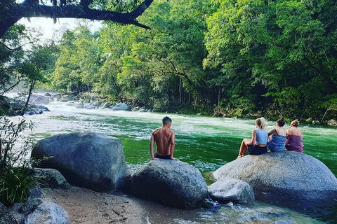 Afternoon Half-Day Daintree Rainforest And River Tour - Tweed Heads Accommodation 0
