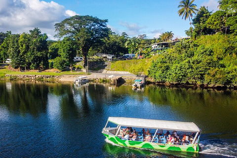 Afternoon Half-Day Daintree Rainforest And River Tour - Tweed Heads Accommodation 1