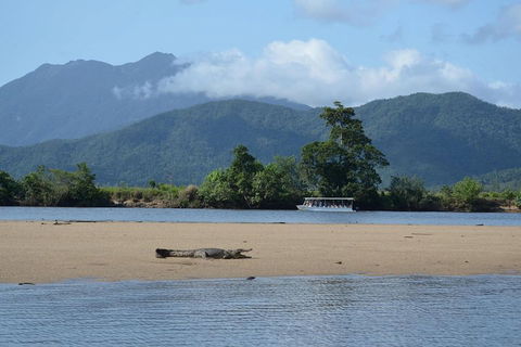 Afternoon Half-Day Daintree Rainforest And River Tour - Tweed Heads Accommodation 2