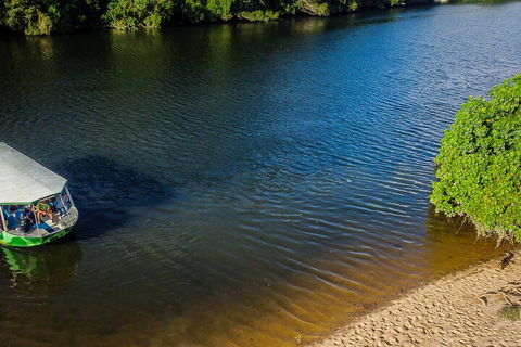 Afternoon Half-Day Daintree Rainforest And River Tour - Tweed Heads Accommodation 3