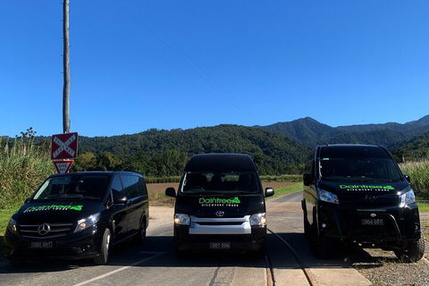 Afternoon Half-Day Daintree Rainforest And River Tour - Tweed Heads Accommodation 4